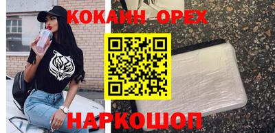 молекула духа Берёзовский