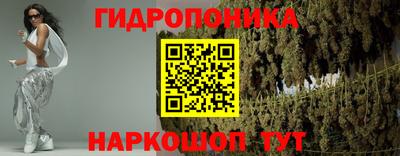молекула духа Берёзовский