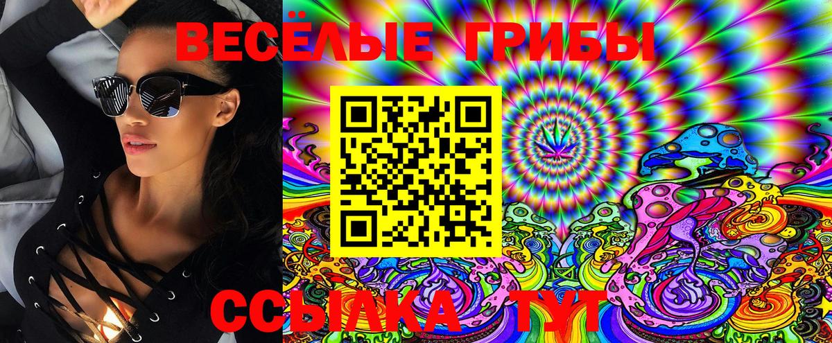 Клинцы  Галлюциногенные грибы Psilocybe  Вход с VPN 